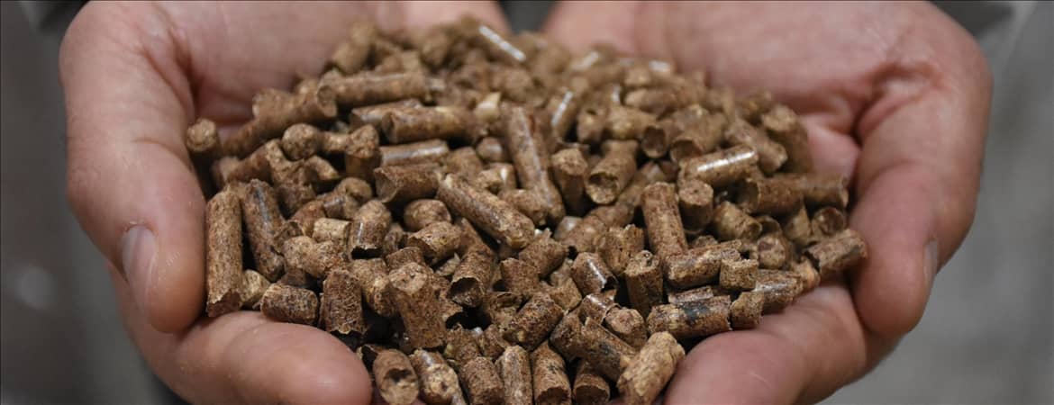 تصویر 2 از کود مرغی رشت مناسب خاک‌ های مرطوب